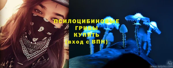 дживик Приозерск