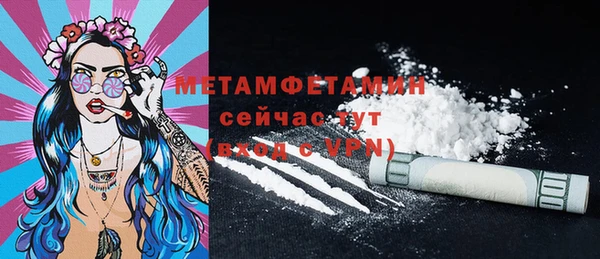 гидра Покачи