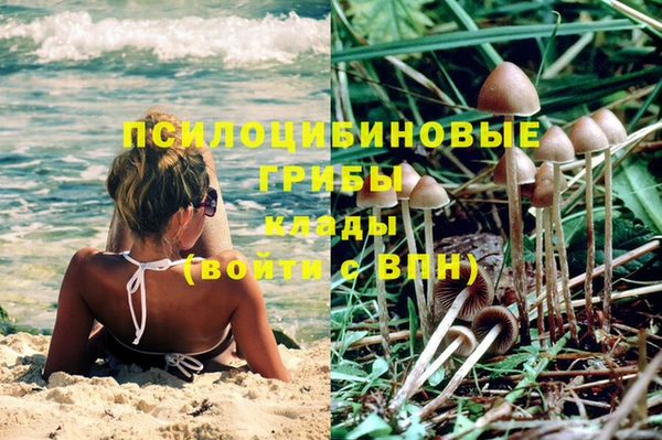 дживик Приозерск