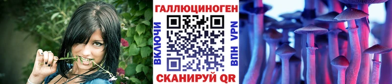 Галлюциногенные грибы Cubensis Грязи