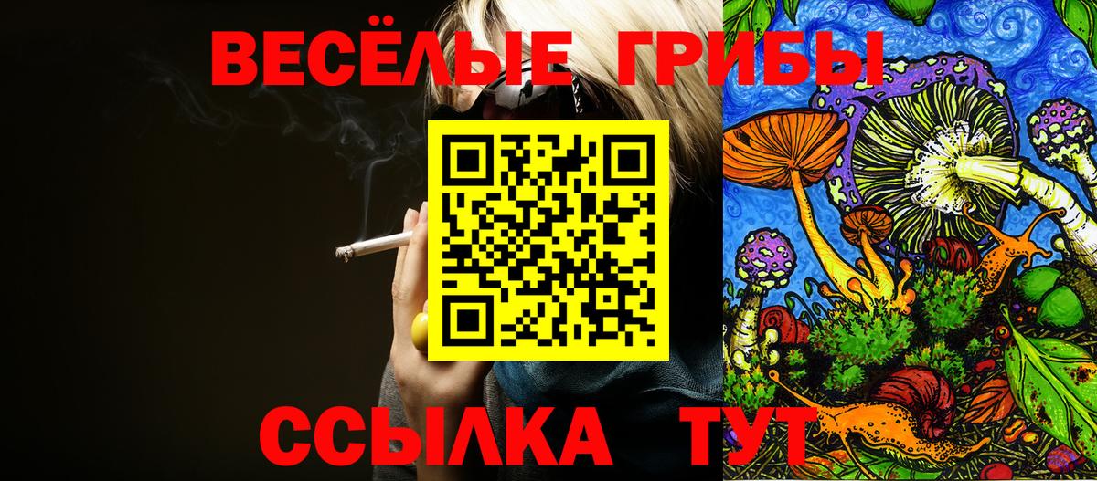 Псилоцибиновые грибы Psilocybine cubensis  Вход с VPN  Грязи  Галлюциногенные грибы ЛСД 