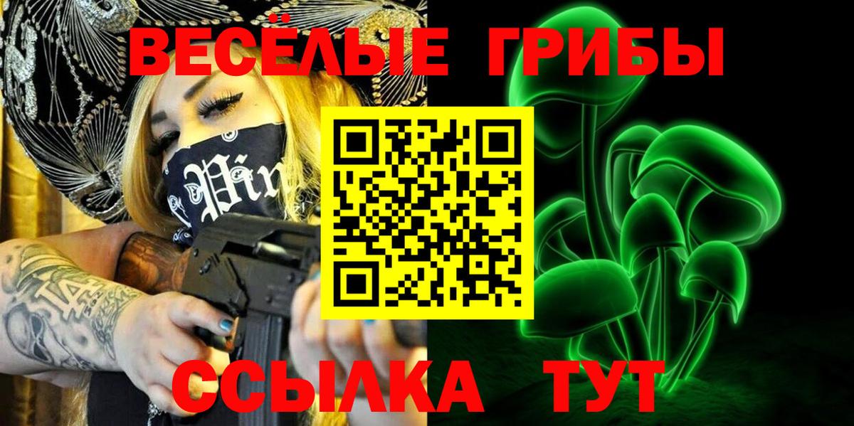 Псилоцибиновые грибы Psilocybe Грязи