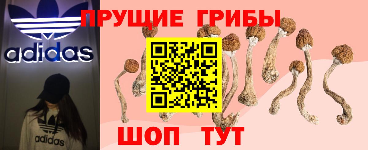 Галлюциногенные грибы Magic Shrooms Грязи